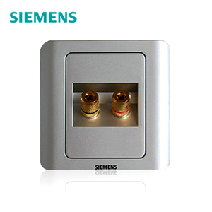 SIEMENS/西门子 dffgfg