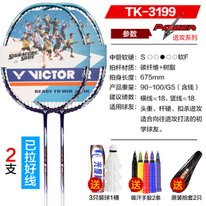 VICTOR/威克多 2TK-3199