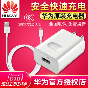 Huawei/华为 HW-050100C01HUCN050100-G00