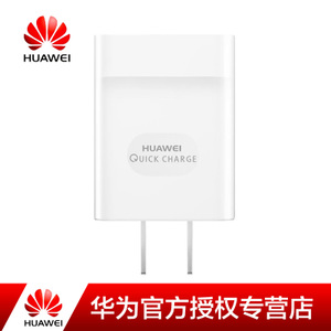 Huawei/华为 HW-050100C01HUCN050100-G00