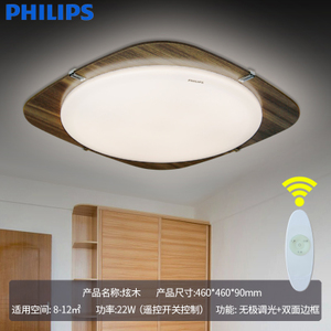 Philips/飞利浦 22w4000k460mm