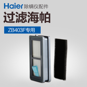 Haier/海尔 ZB403FHEPA