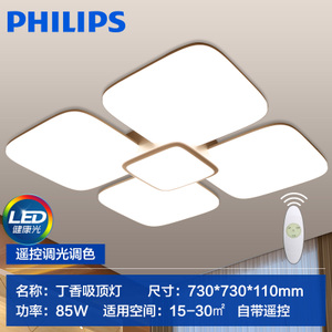 Philips/飞利浦 2LED85W