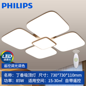 Philips/飞利浦 2LED85W