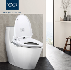 GROHE/高仪 3931639384l00