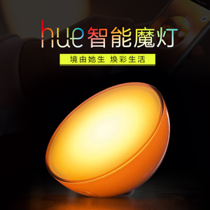 Philips/飞利浦 HUE-GO-APP