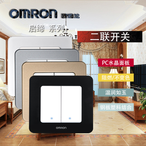 Omron/欧姆龙 C4R-86-2K1-BJ