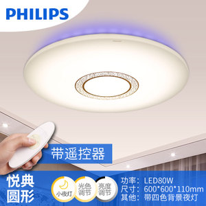 Philips/飞利浦 LED61349