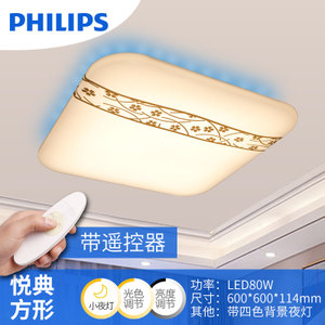 Philips/飞利浦 LED61350