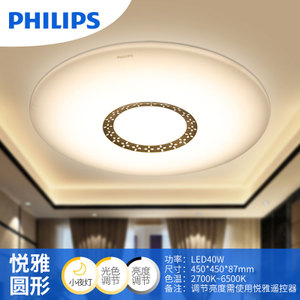 Philips/飞利浦 LED61351