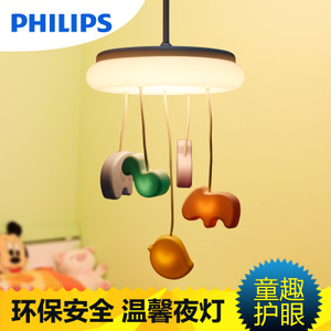 Philips/飞利浦 30895-8timesMAX60W