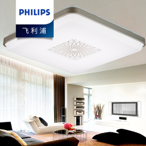 Philips/飞利浦 62336