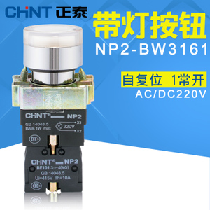 CHNT/正泰 NP2-BW3161