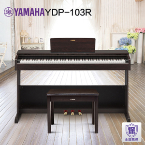 Yamaha/雅马哈 YDP103R