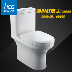 HCG/和成卫浴 C9009-300