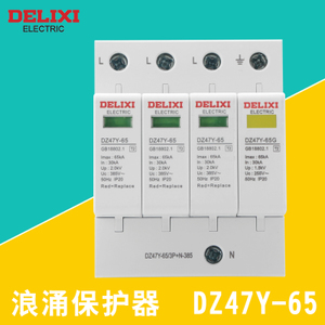 DELIXI ELECTRIC/德力西电气 DZ47Y-65