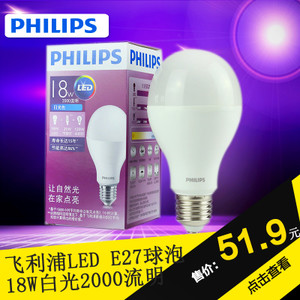 LED-18W