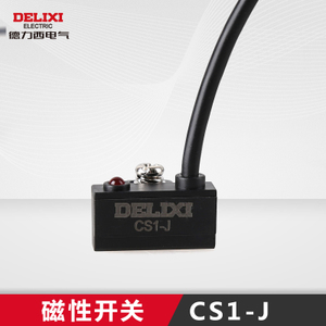 DELIXI ELECTRIC/德力西电气 CS1-J
