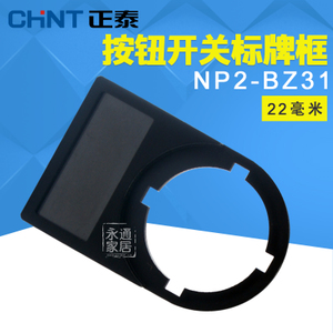 CHNT/正泰 NP2-BZ31