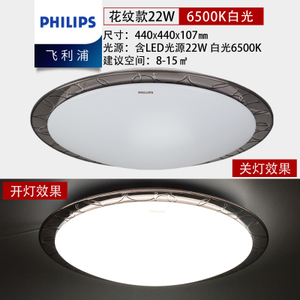 Philips/飞利浦 22W-44cm-6500K