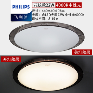 Philips/飞利浦 22W-44cm-4000K