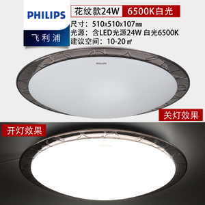 Philips/飞利浦 24W-51cm-6500K