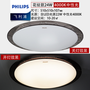 Philips/飞利浦 24W-51cm-4000K