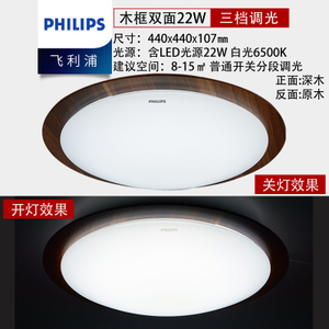 Philips/飞利浦 22w44cm6500k