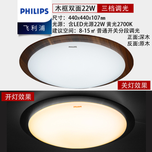 Philips/飞利浦 22w44cm2700k