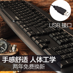 Rapoo/雷柏 N2500-USB