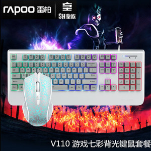 Rapoo/雷柏 V110