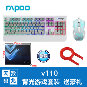 Rapoo/雷柏 V110