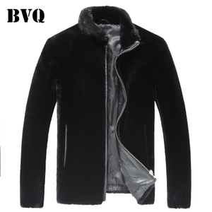 BVQ D2537