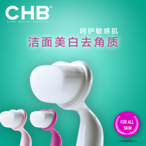 CHB-B4