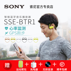Sony/索尼 SSE-BTR1