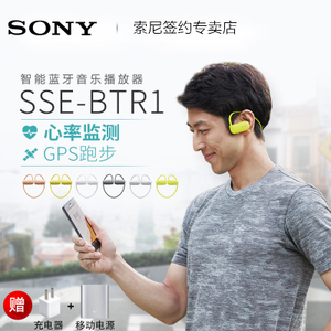 Sony/索尼 SSE-BTR1