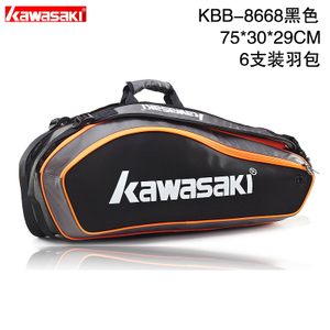 KAWASAKI-8668