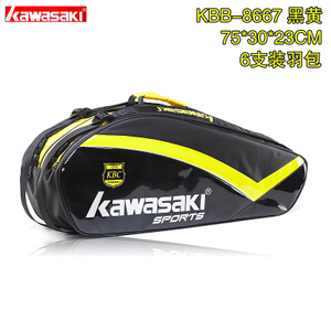 KAWASAKI-8667