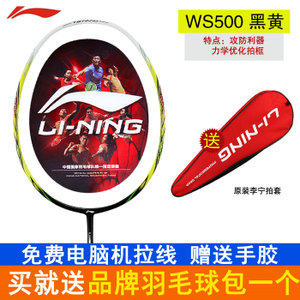 Lining/李宁 WINDSTORM-WS500
