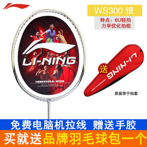 Lining/李宁 WINDSTORM-WS300