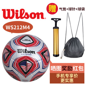 WS212M4-2