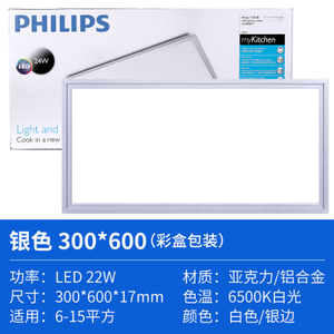 Philips/飞利浦 22WLED300x600