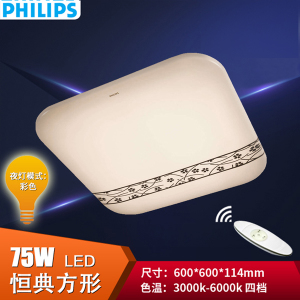 Philips/飞利浦 100-240V-50-80W