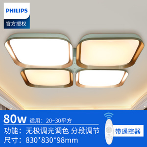 Philips/飞利浦 100-240V-50-80W