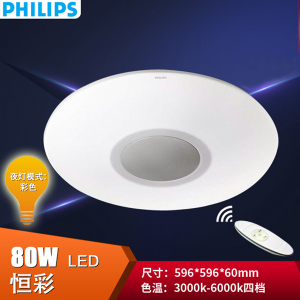 Philips/飞利浦 100-240V-50-80W