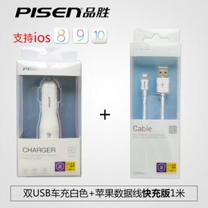Pisen/品胜 usb-ipad-USB1