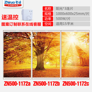 ZN500-1172ABC