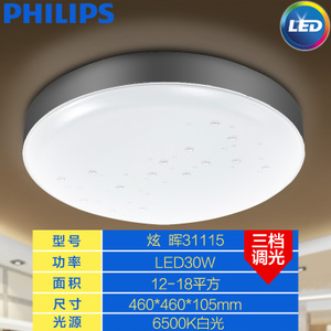 Philips/飞利浦 30W6500K46cm