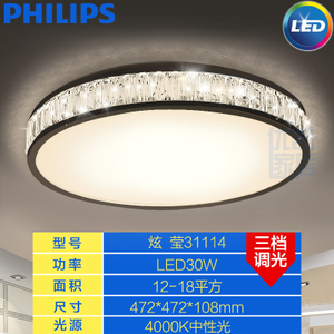 Philips/飞利浦 30W4000K47cm