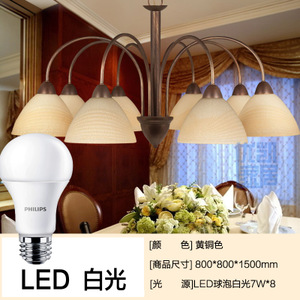 Philips/飞利浦 8LED7W